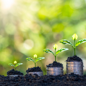 Passive Income & Cash Flow